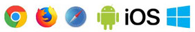 chrome icon